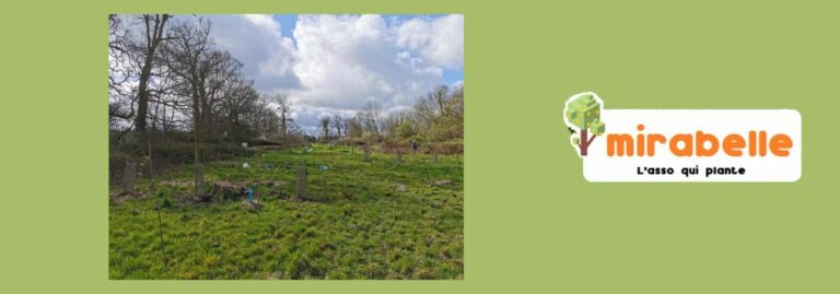 Lire la suite à propos de l’article Plantation de fruitiers
