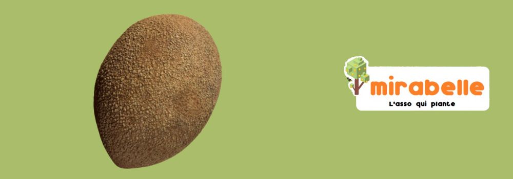 You are currently viewing Un fruit bien étrange !