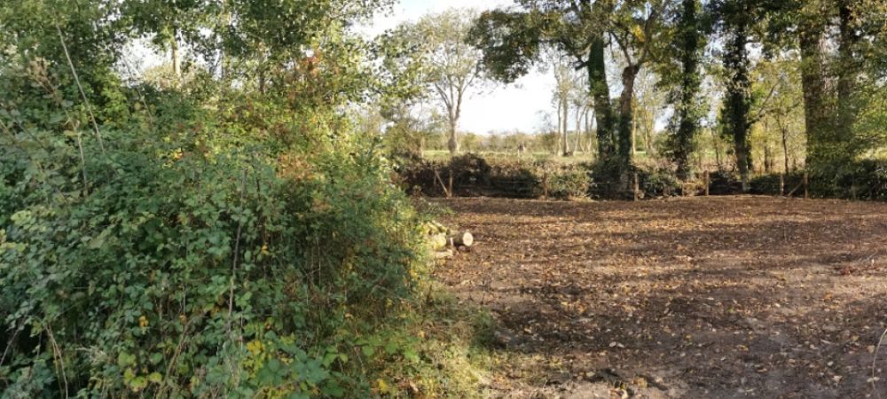 Photo de l'accès à la mare sud 