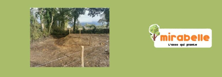 Lire la suite à propos de l’article Les mares se refont une beauté